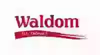 Waldom Electronics Logo